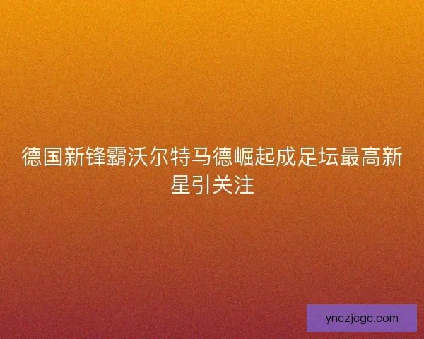 德国新锋霸沃尔特马德崛起成足坛最高新星引关注